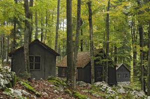 Baza 20, Jošt Gantar