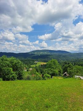 Pot po vinski gorici, arhiv Občine Dolenjske Toplice