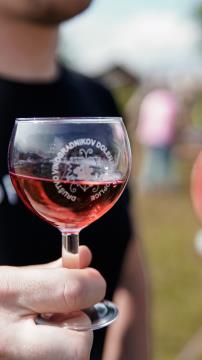 Društvo vinogradnikov Dolenjske Toplice, arhiv Občine Dolenjske Toplice