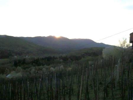 Pogled iz zidanice, Društvo vinogradnikov Lubanec