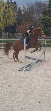 Dobrodih, arhiv Urške Granda