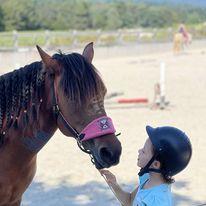 Dobrodih, arhiv Urške Granda