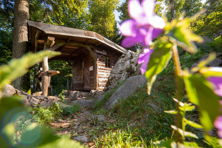 Zavetišče Kanja, Alenka Peterlin