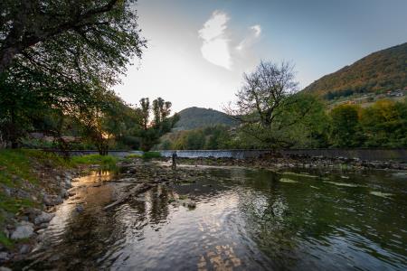 Ribolov, Alenka Peterlin