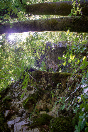 Ruševine gradu Rožek, Alenka Peterlin