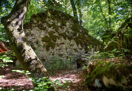 Ruševine gradu Rožek, Alenka Peterlin