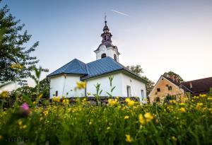 Cerkev sv. Roka, Gorenje Sušice